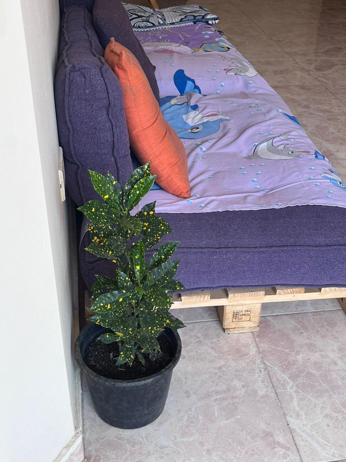 Bed In Raheem Guest House More Than Accommodation Κάιρο Εξωτερικό φωτογραφία